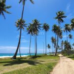 .Purchasing Land in the Dominican Republic